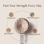Whey Blend • Isolate + Concentrate • Chocolate • 40g