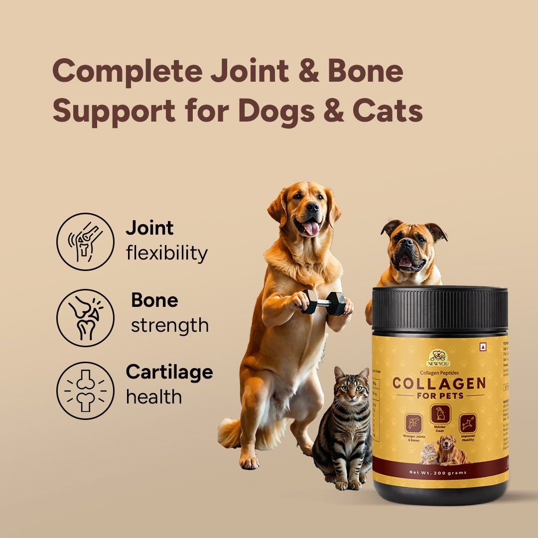 NewYou Marine Collagen for Dogs & Cats (200 Gms)